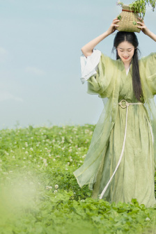 伊人家乡歌曲